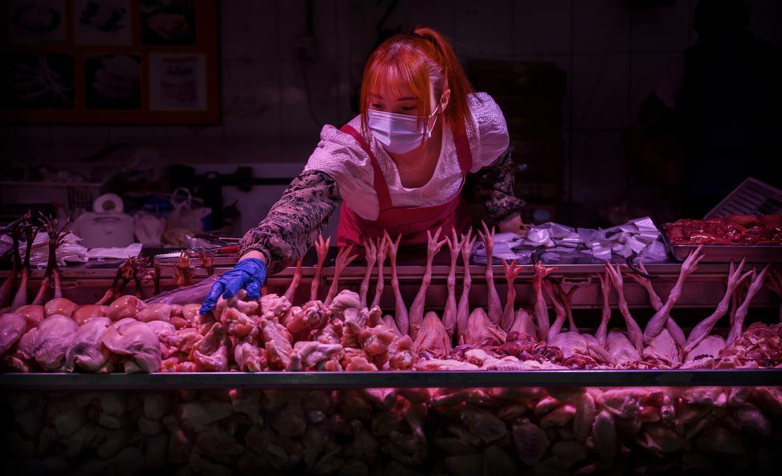 Мясо диких животных запретили употреблять в пищу в Ухане