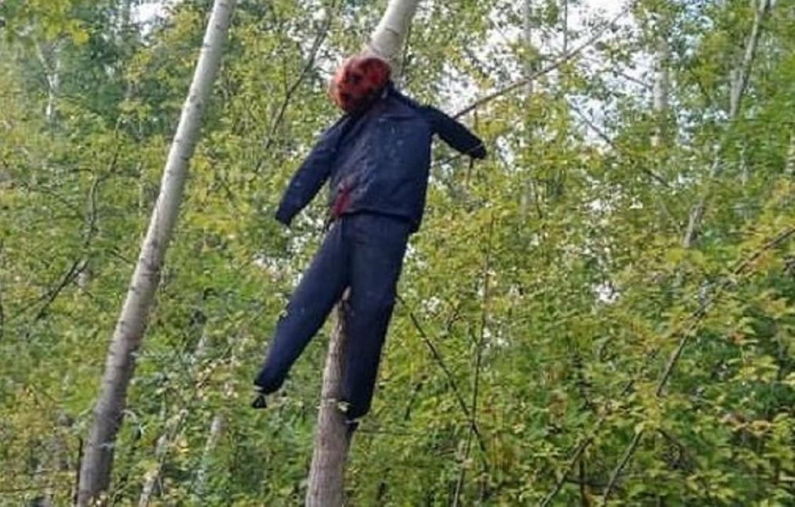 Чучело висит на дереве в Усть-Каменогорске