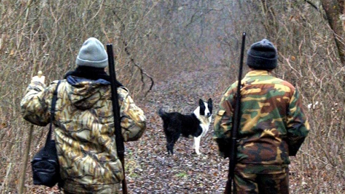 Охотник принял сына за лося и застрелил насмерть Охотник принял сына за лося и застрелил насмерть