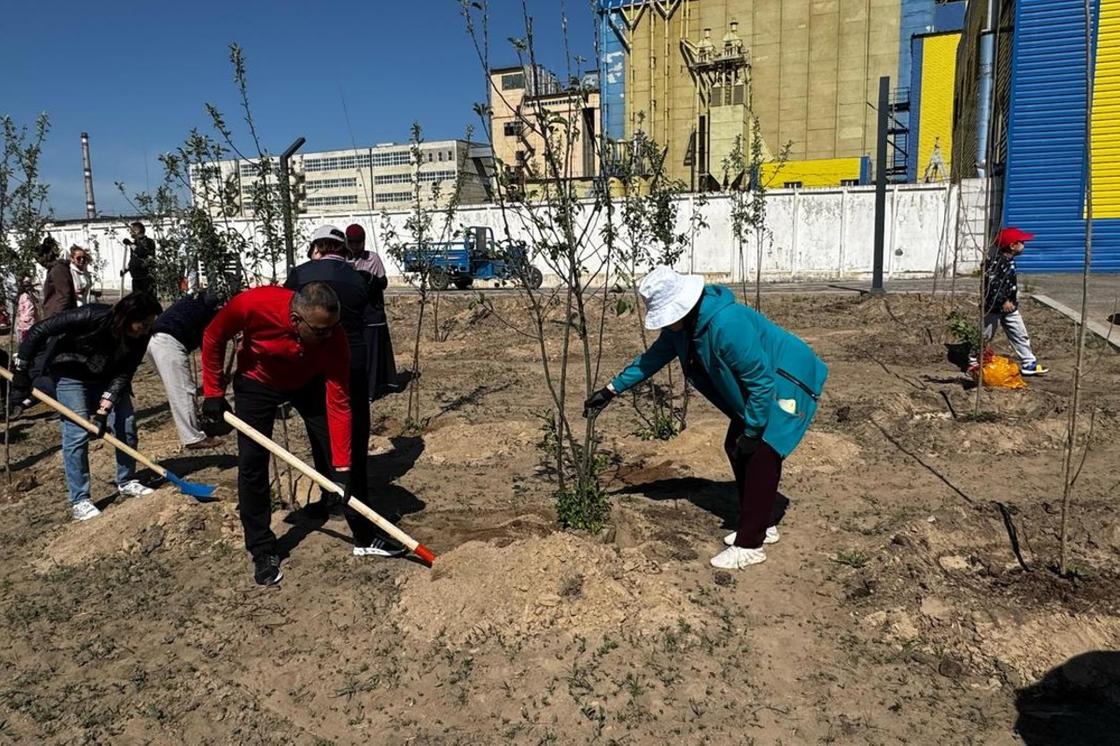 Акция "Таза Қазақстан" в Алматинской области Акция "Таза Қазақстан" в Алматинской области