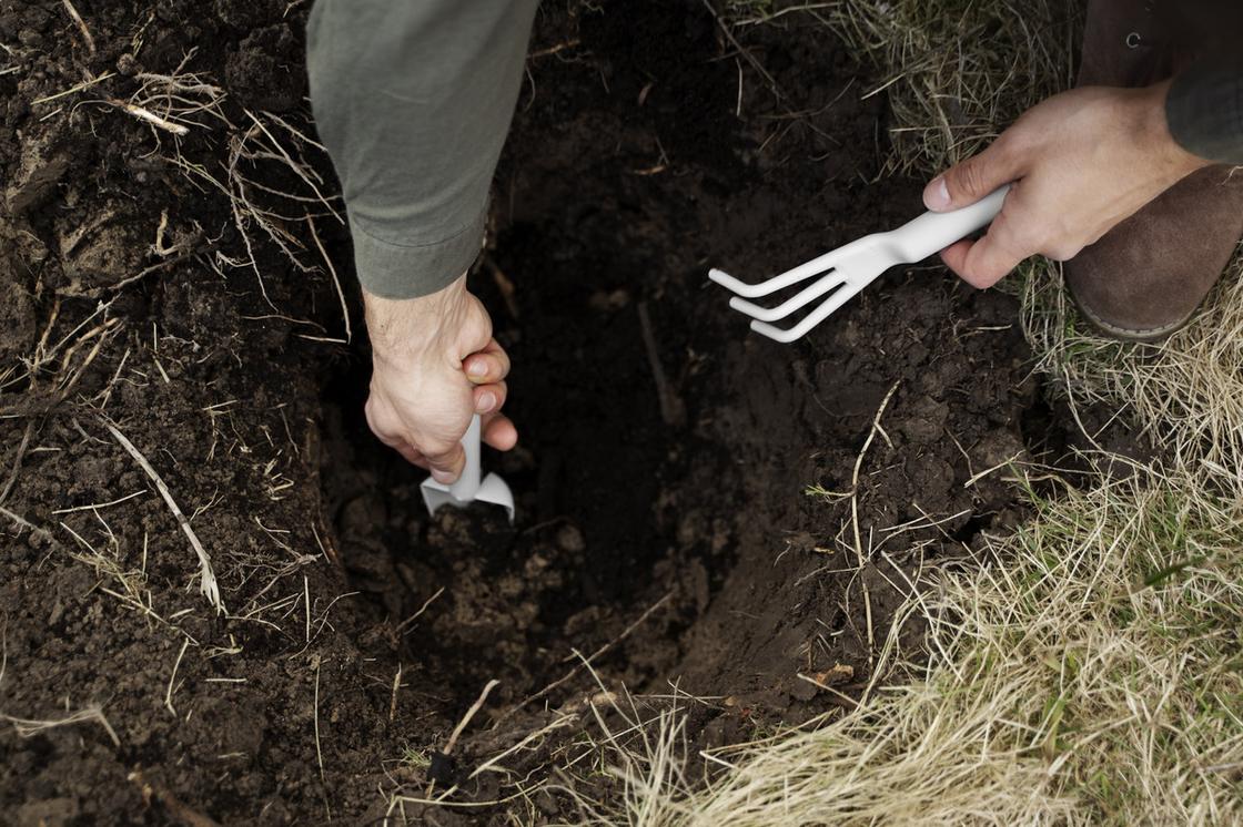 В земле копают лунку и выбирают землю садовой лопаткой. В другой руке держат маленькие грабли