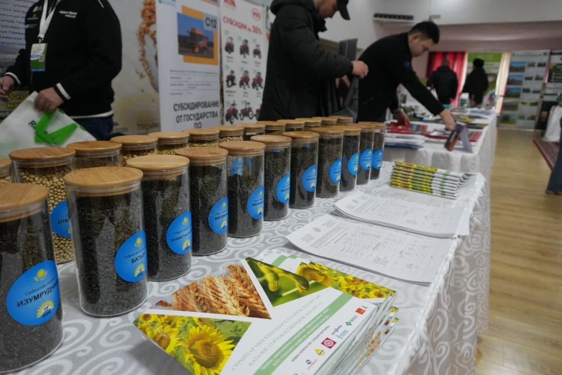 Выставка "День семян "Тұқым-2026. Атбасар"