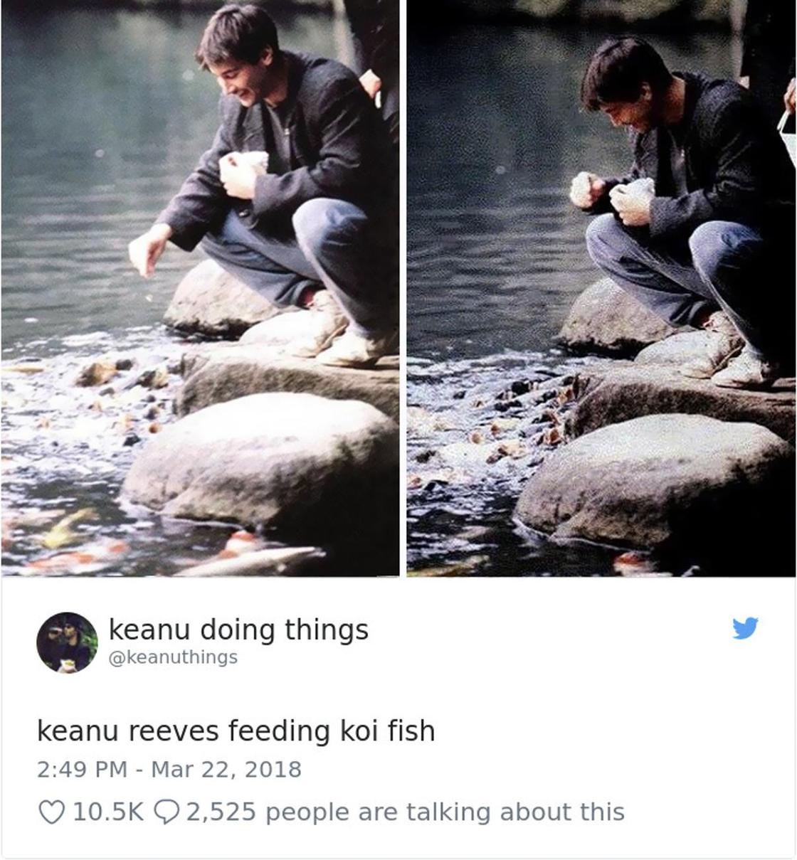 Киану Ривз кормит карпов. Скриншот: Twitter