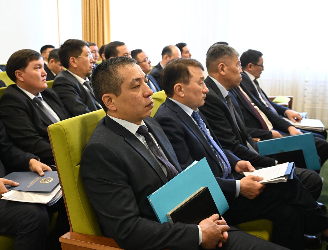 Жетісу облысының активі жаңа Конституция жобасын қолдады