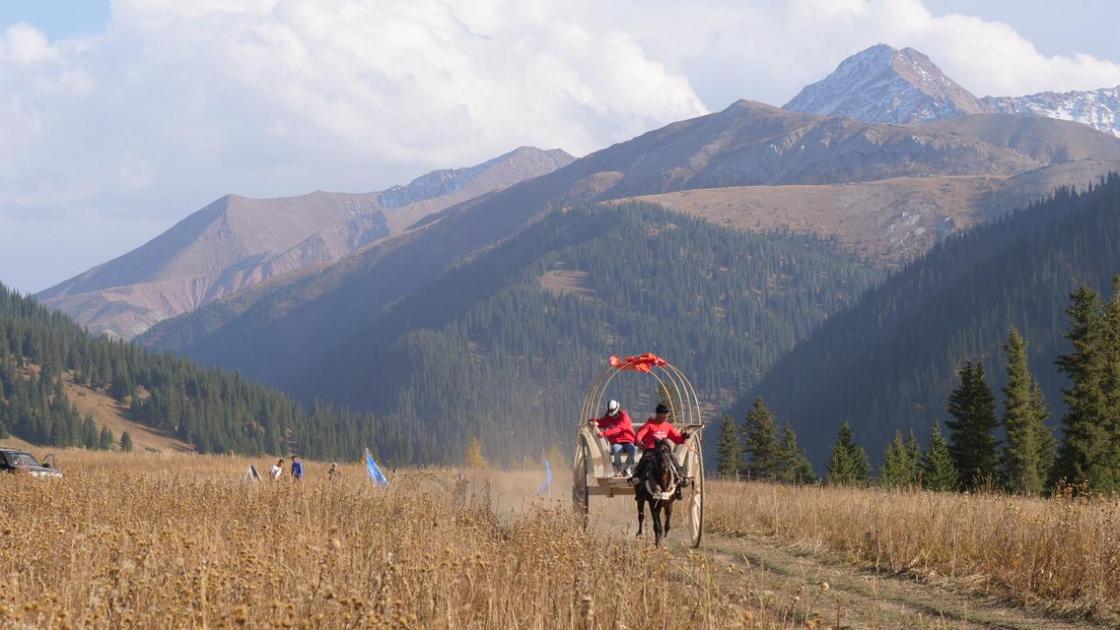 Международная гонка на арбах прошла в Алматинской области