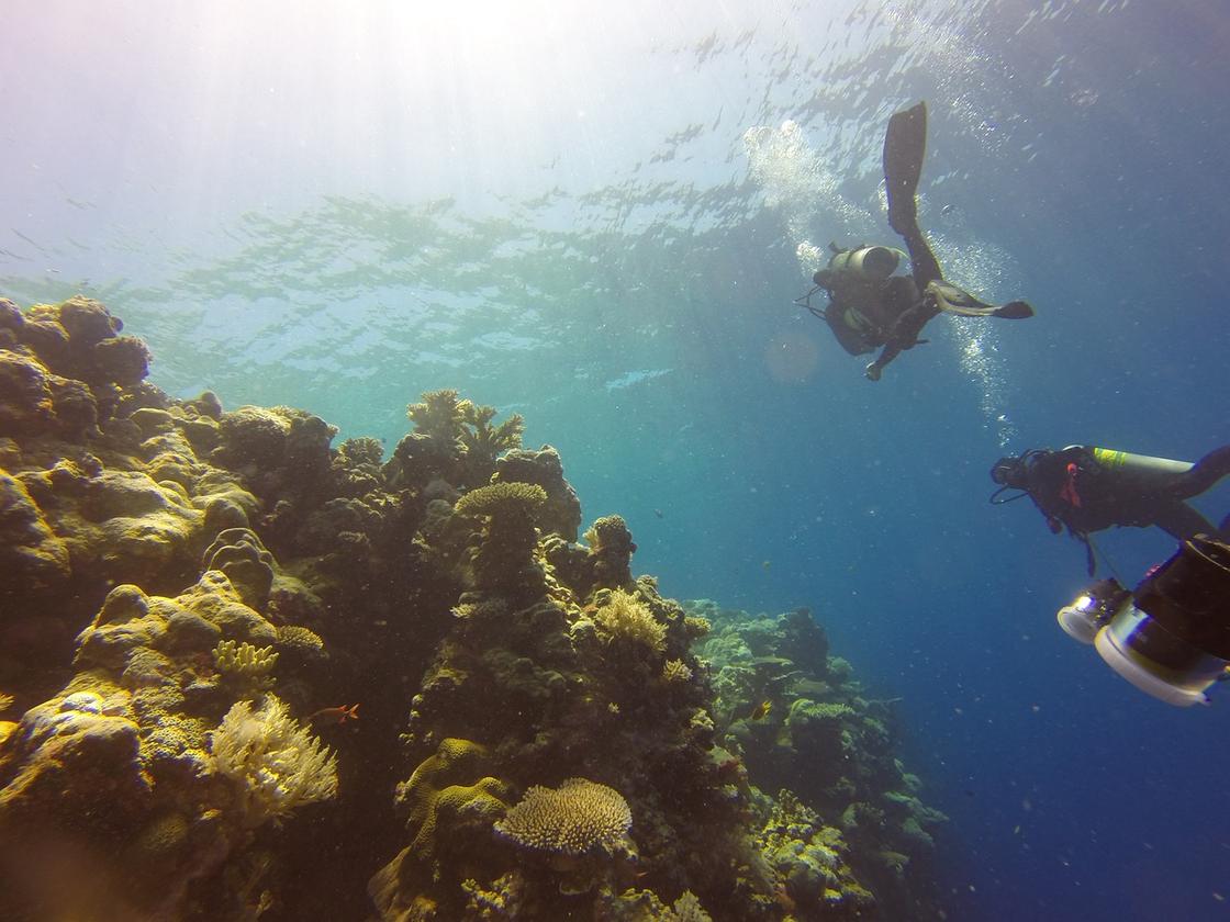 Дайвинг у кораллового рифа