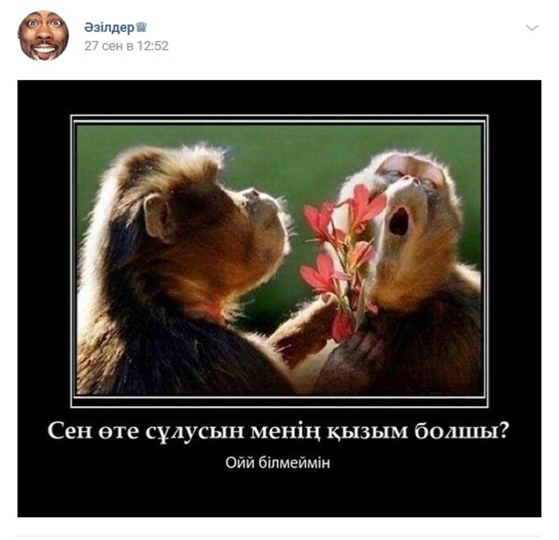 Фото: Скриншот Вконтакте