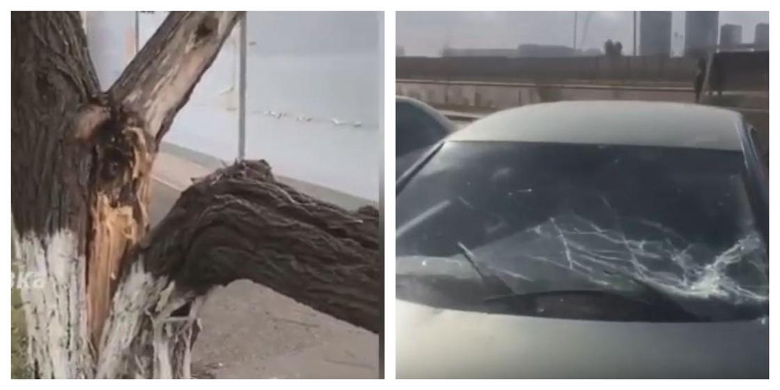 Ураганный ветер повалил деревья и повредил машины в Нур-Султане (видео)