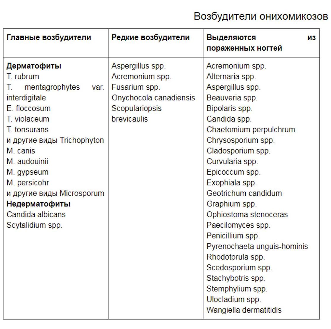 Грибок ногтей: причины, симптомы, лечение и профилактика Грибок ногтей: причины, симптомы, лечение и профилактика
