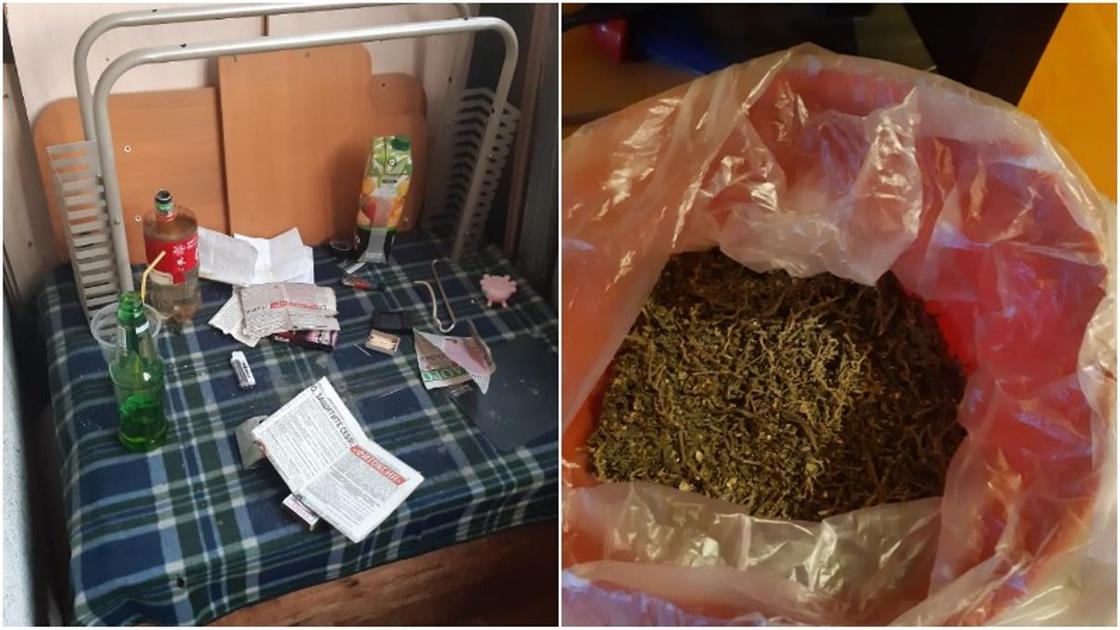Купить марихуаны в алматы конопля подмосковье