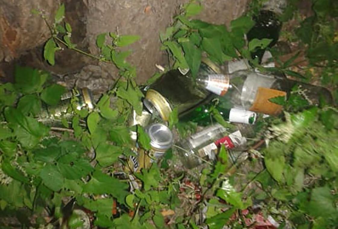Пустые бутылки и банки под деревом