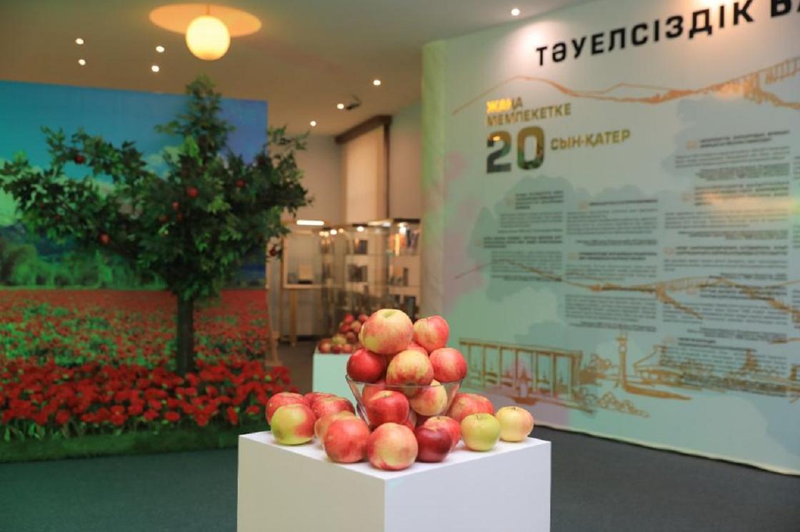 Выставка «Алматы – золотая колыбель Независимости»