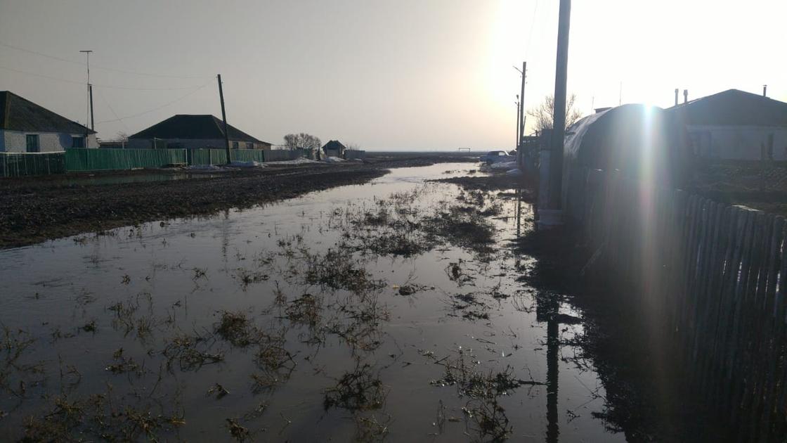 Подтопленная дорога в селе в ЗКО