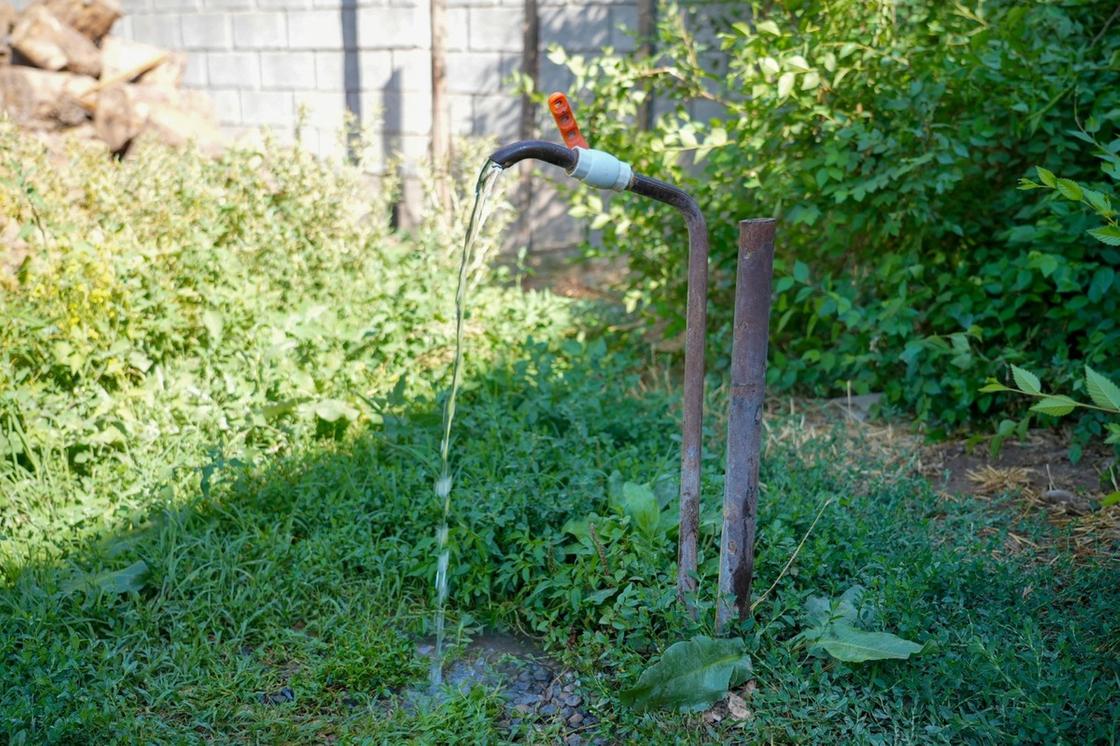Управление внутренней политики и по делам молодежи города Шымкент