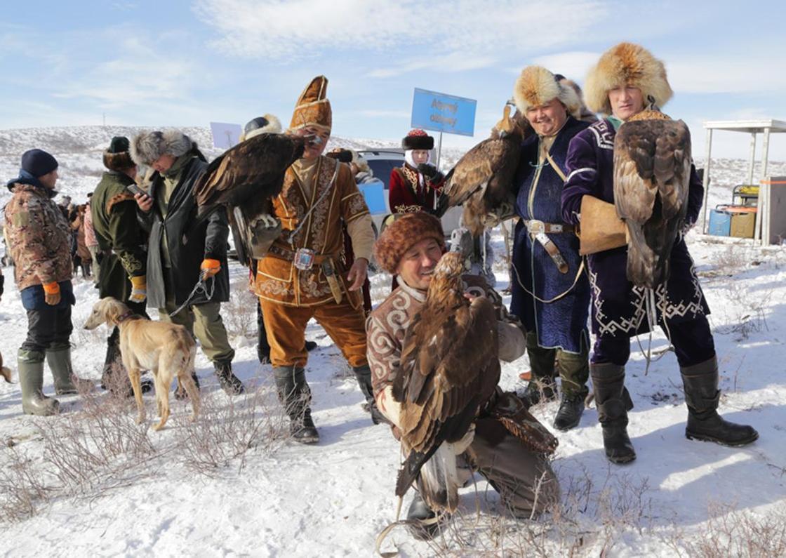 Турнир по охоте с хищными птицами проходит в Карагандинской области