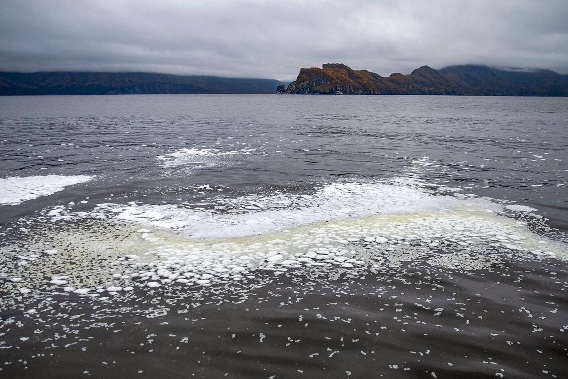 Пятно загрязнения у берегов Камчатки