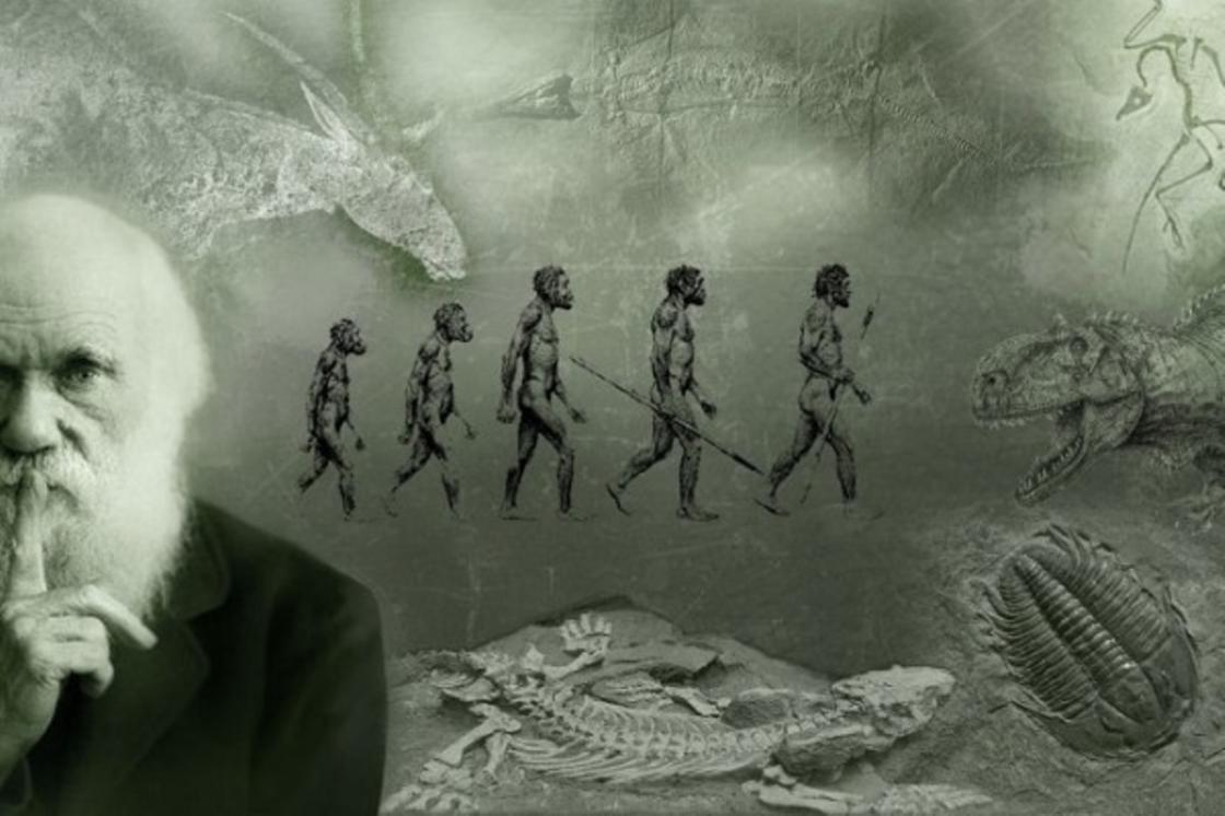 Дарвин и иллюстрация его теории