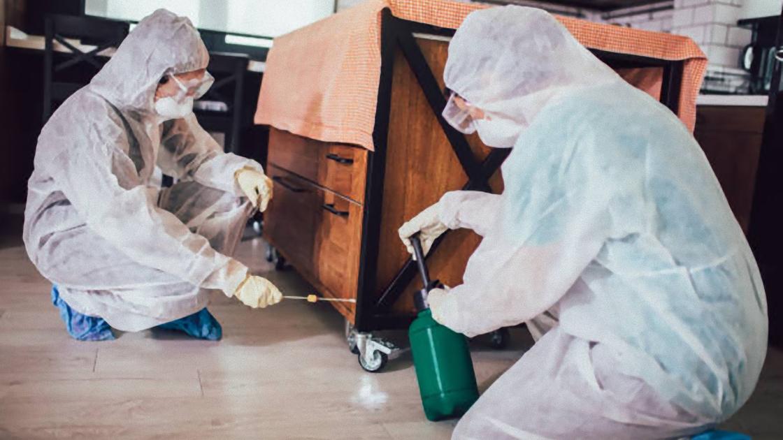 Два человека в защитных комбинезонах с капюшонами, в масках и перчатках проводят дезинсекцию помещения. Они обрабатывают ратсвором из баллона щеткой щели в деревянной тумбочке Два человека в защитных комбинезонах с капюшонами, в масках и перчатках проводят дезинсекцию помещения. Они обрабатывают ратсвором из баллона щеткой щели в деревянной тумбочке