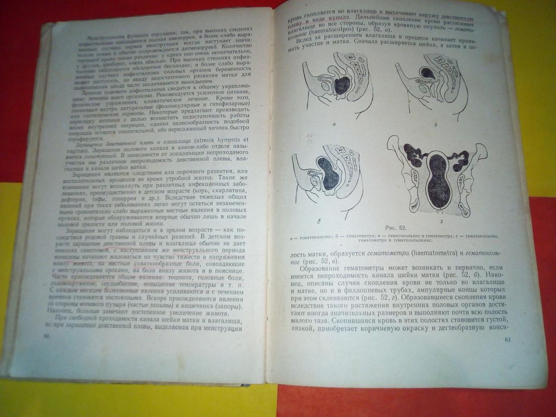 14 неделя беременности: что происходит с малышом и будущей мамой (фото, УЗИ) 14 неделя беременности: что происходит с малышом и будущей мамой (фото, УЗИ)