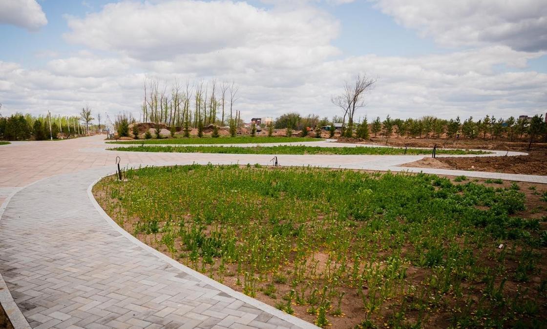 Парк для отдыха начали строить на окраине столицы