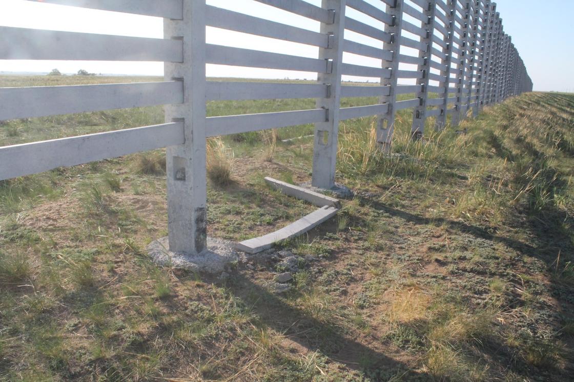 Сельчанин разобрал забор на Омской трассе для грядок в своем огороде в Павлодарской области