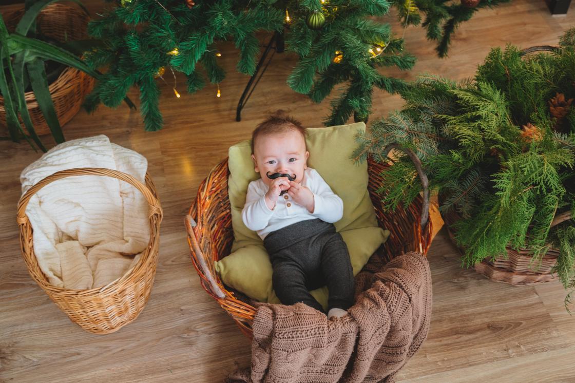 Младенец в корзине под елкой