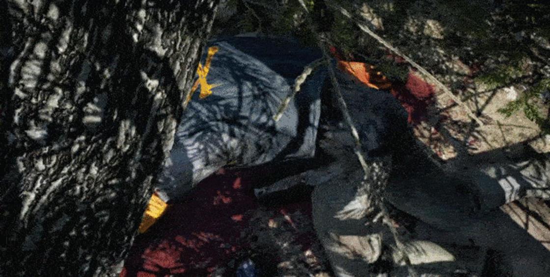 Far Cry 4: системные требования, жанр и геймплей Far Cry 4: системные требования, жанр и геймплей