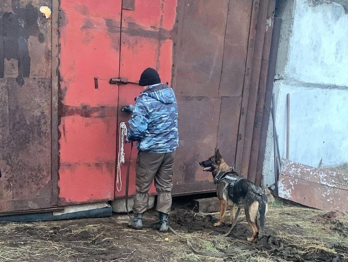 Мужчина с собакой открывает двери гаража