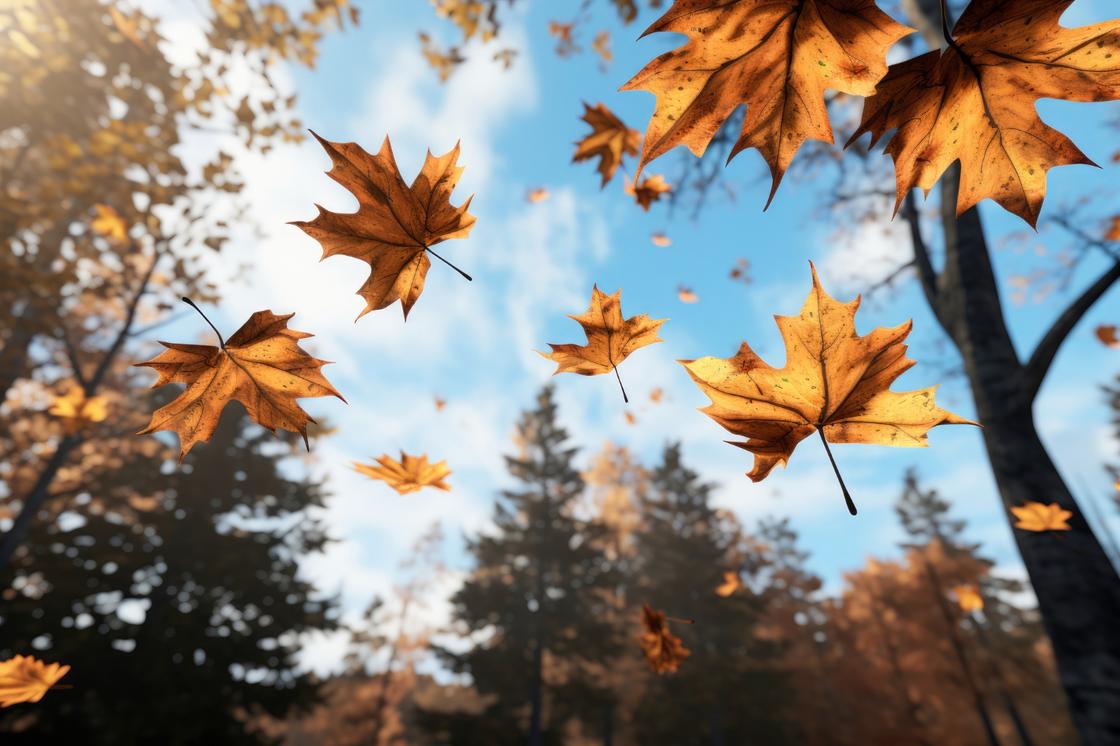 С дерева падают листья