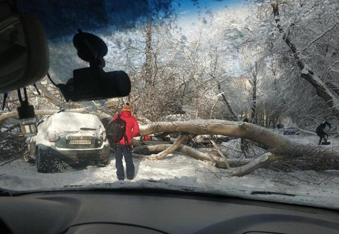 Рухнувшие деревья, сугробы и коллапс: Нур-Султан завалило снегом (фото)
