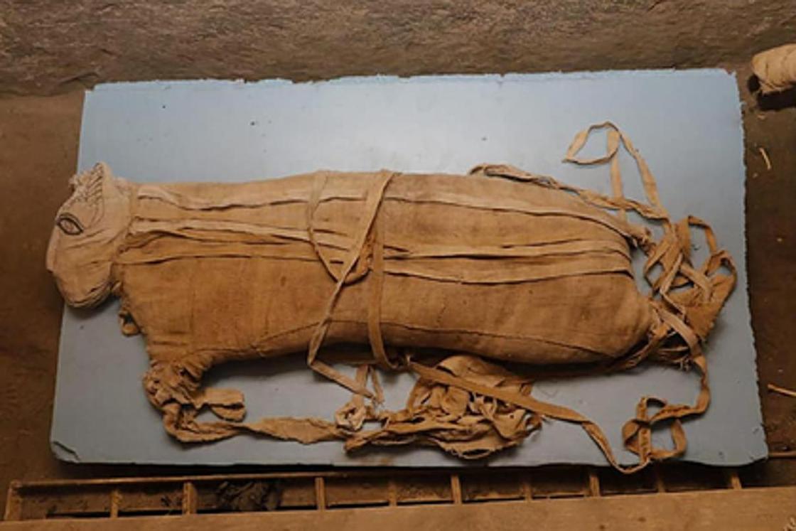 Древний тайник, набитый сокровищами, нашли в Египте