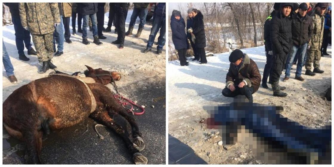 Лошадь и всадник погибли в аварии на Кульджинке (фото)