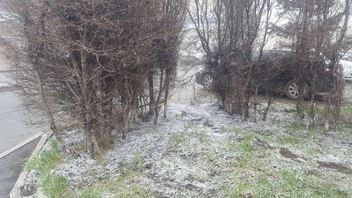 Гололед и метель: в Нур-Султане ударил мороз (фото)