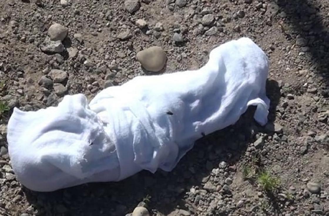 Тело младенца в пакете нашли на кладбище в Костанайской области
