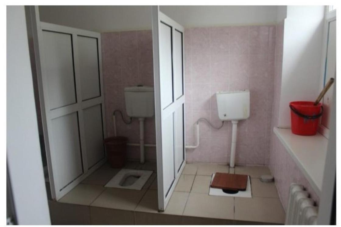 Ужасные туалеты, тараканы в посуде: как живут дети в казахстанских интернатах (фото)