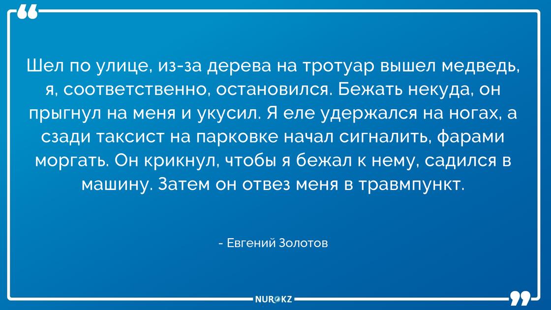 «Я еле удержался»: нападение медведя на россиянина попало на видео «Я еле удержался»: нападение медведя на россиянина попало на видео