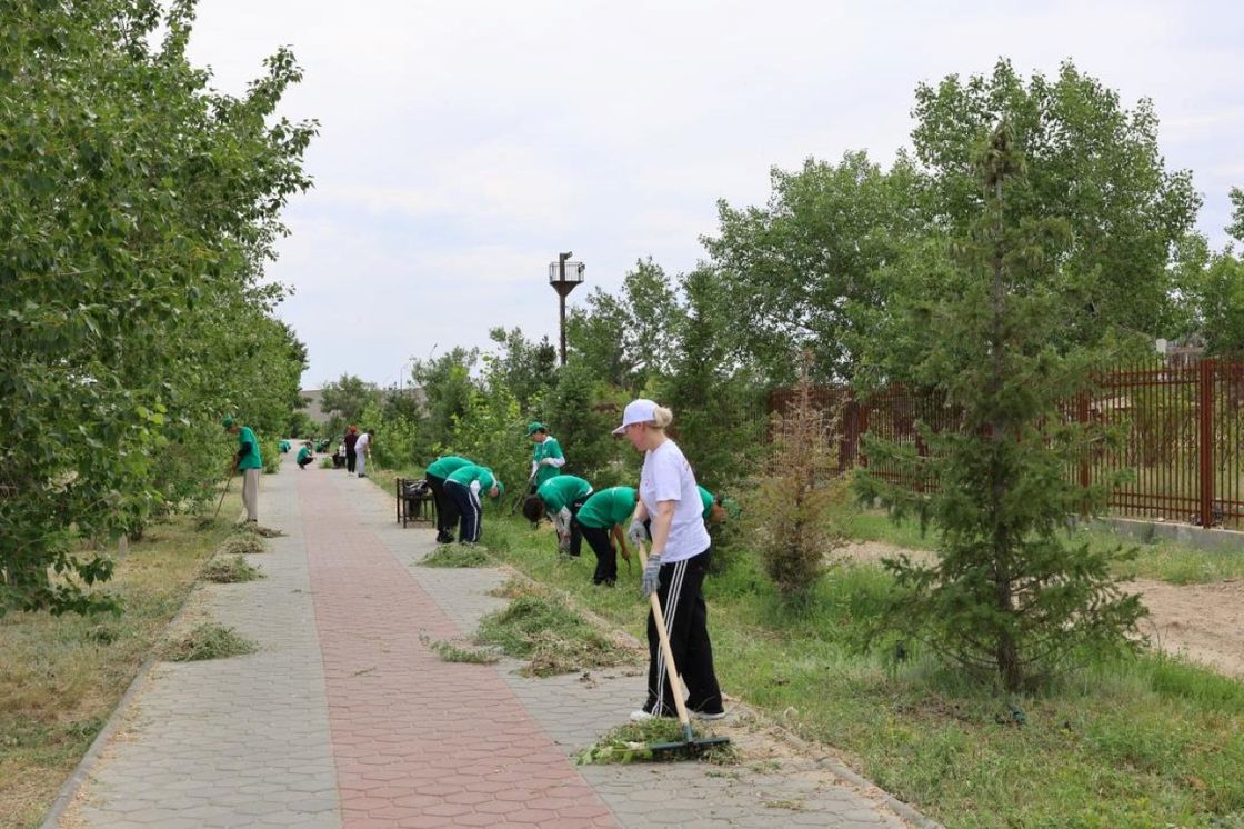 Экологическая акция "Чистый Иртыш начинается с чистого берега" в Курчатове