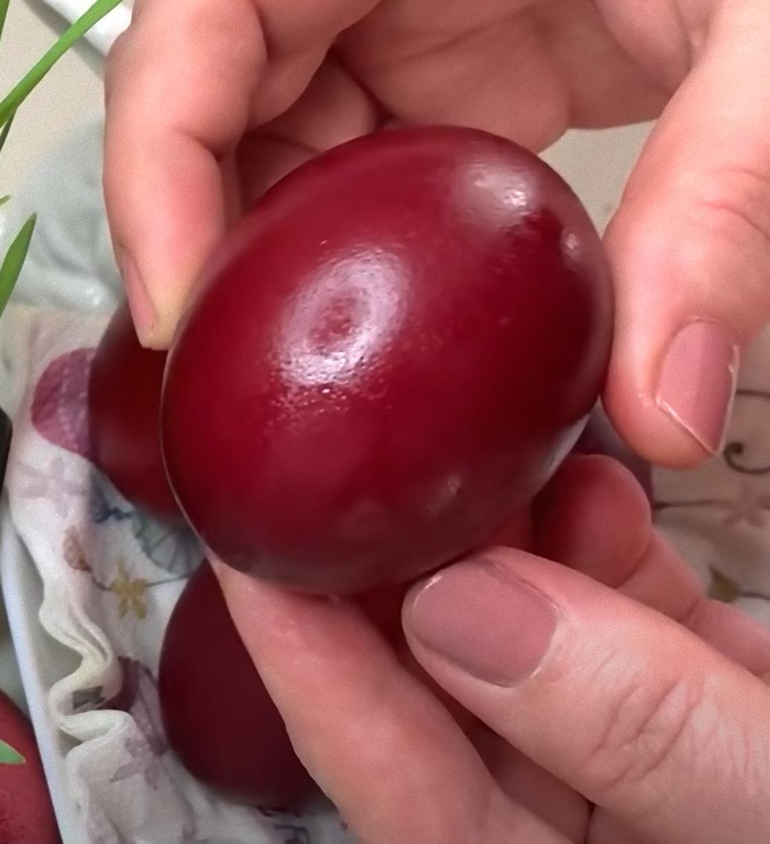 В руке держат яйцо, окрашенное в темно-вишневый цвет