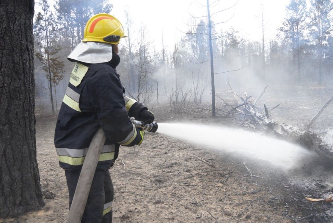 Орман өртін сөндіріп жүрген өрт сөндіруші