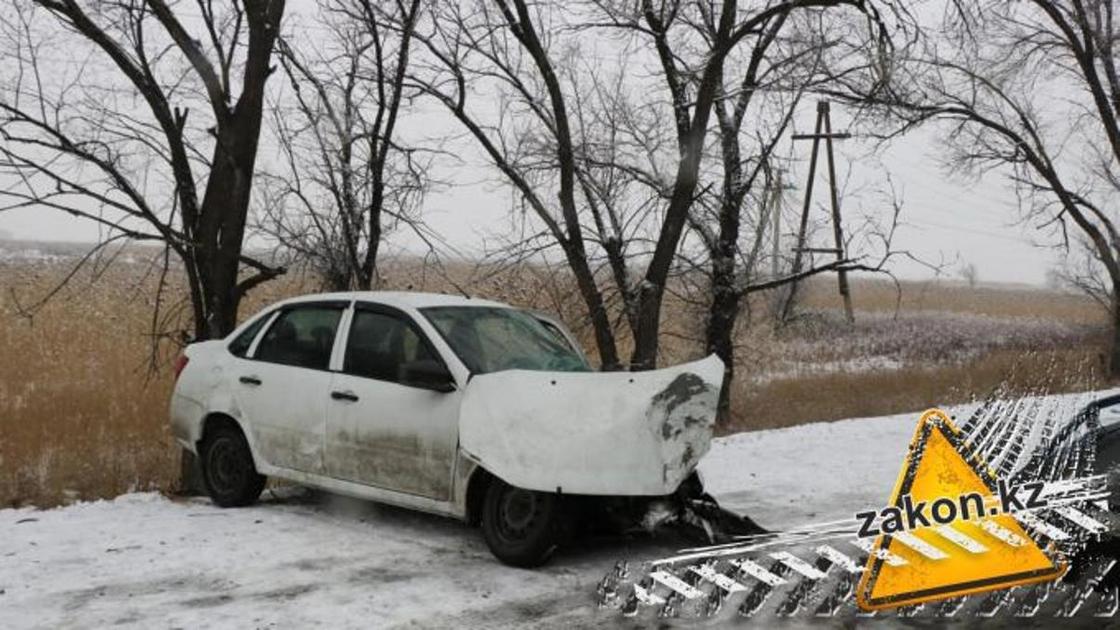 Lada вылетела с трассы и врезалась в дерево в Алматинской области (фото, видео)