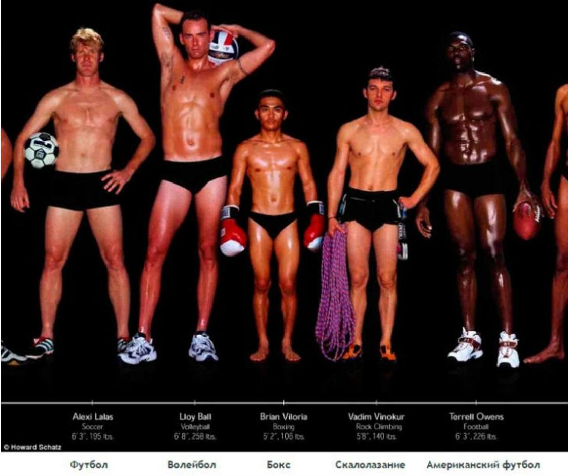Как выглядят тела олимпийских спортсменов в зависимости от вида спорта