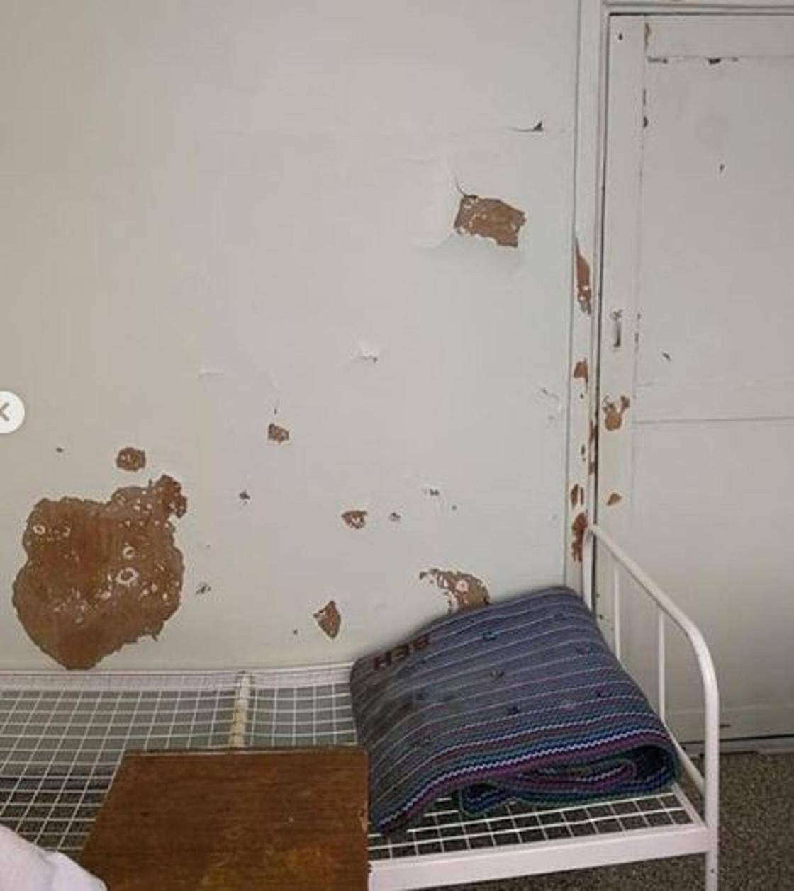 "Стены с плесенью и матрасы для бомжей ": жители ВКО в ужасе от условий в диспансере (фото)