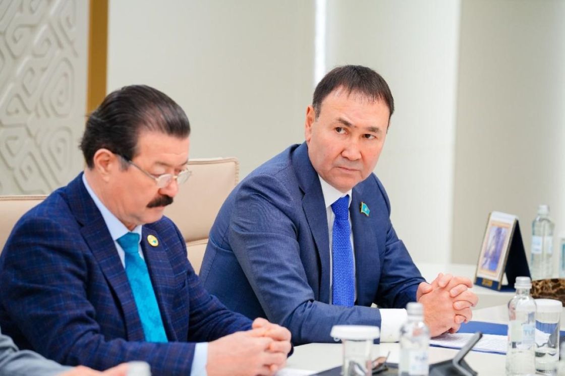 Встреча с активом столицы, посвященная обсуждению проекта новой Конституции