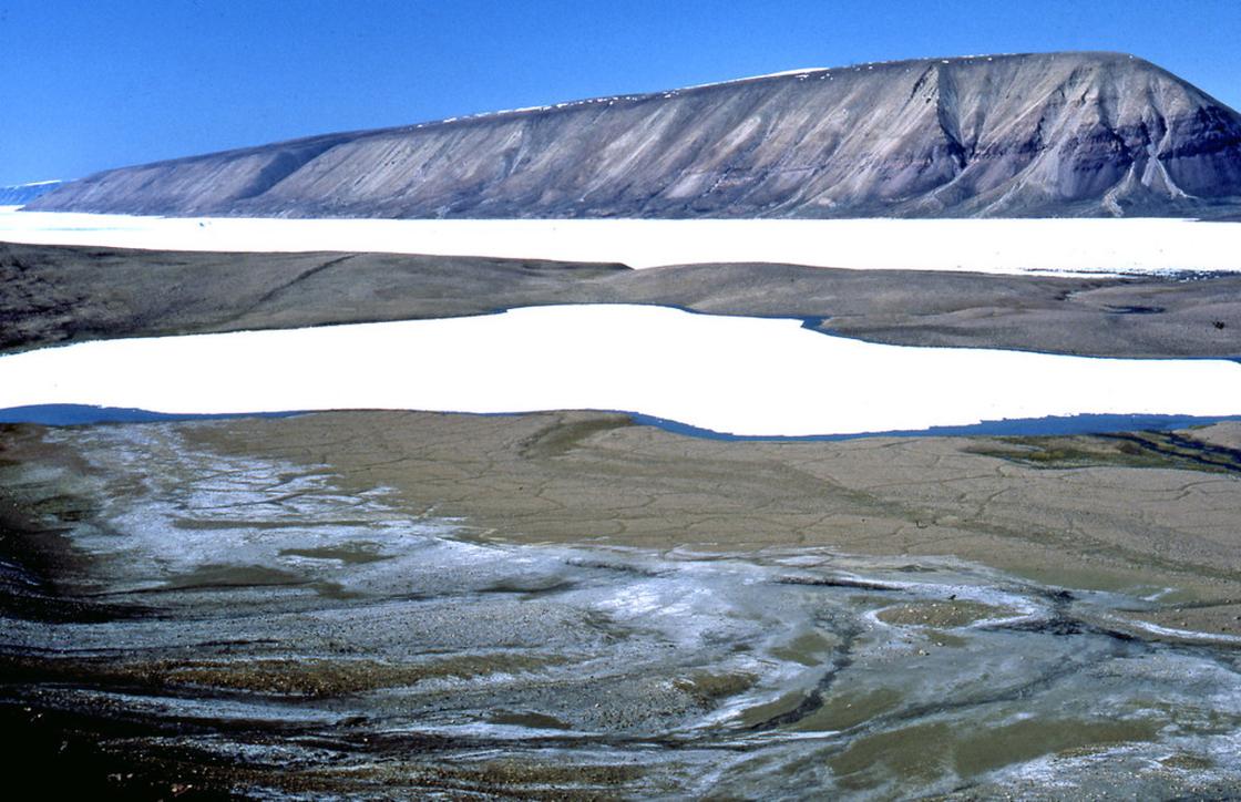 Арктическая пустыня, фьорд Ольрик