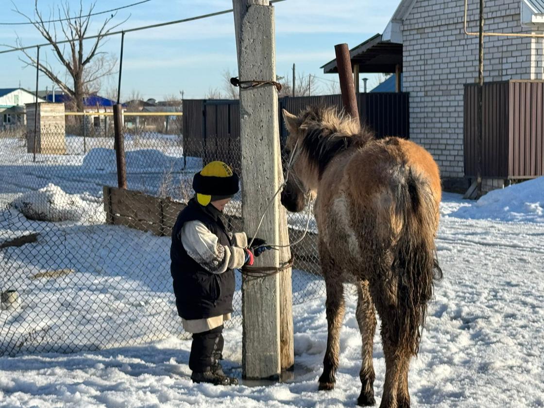 Ақтөбеде балалар тай жарысы