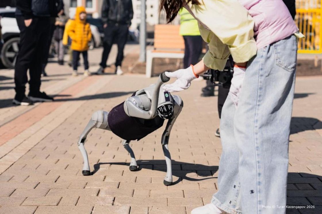 Робот-собака