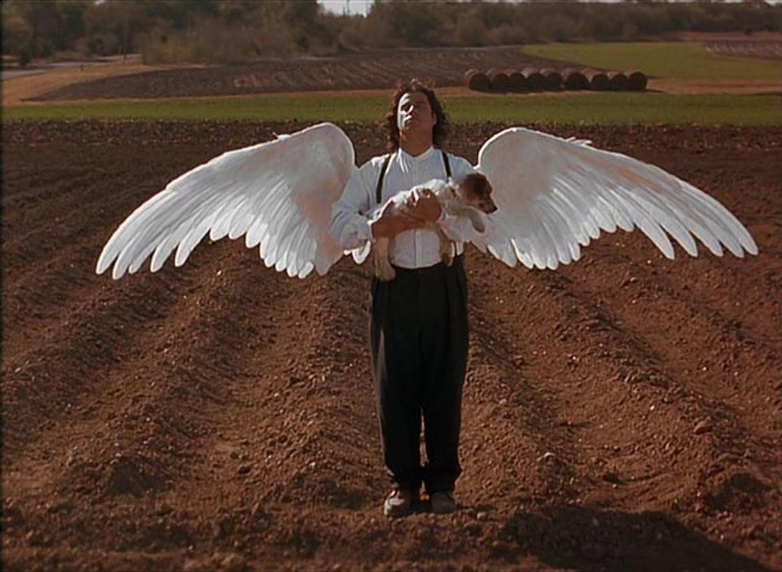 Увлекательные фильмы про ангелов на земле: "Майкл"