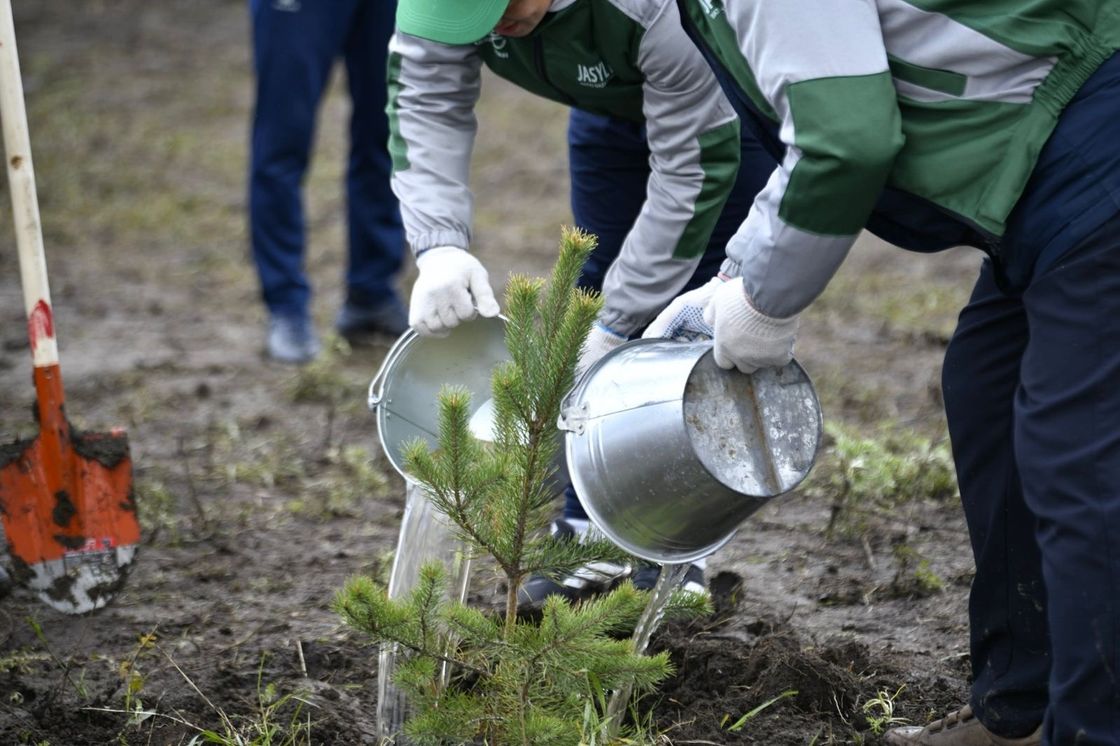 Акция "Таза Қазақстан" в Уральске