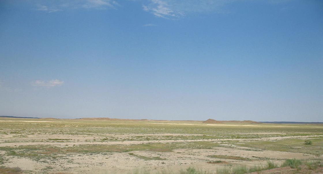 Равнинная пустыня