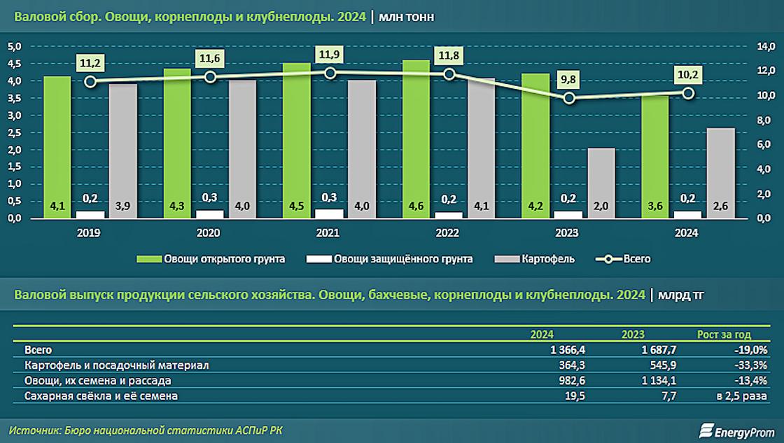 Инфографика Инфографика